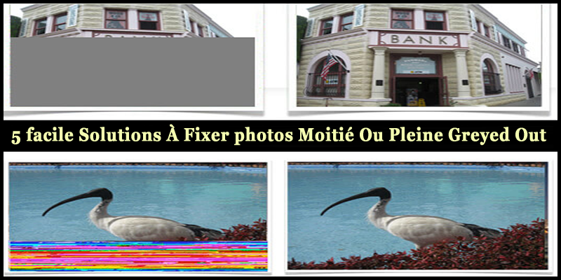 5 facile Solutions À Fixer photos Moitié Ou Pleine Greyed Out