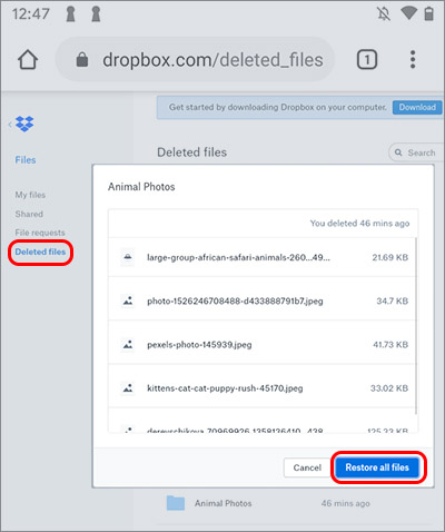 Récupérer les photos de l'application B612 supprimées de Dropbox