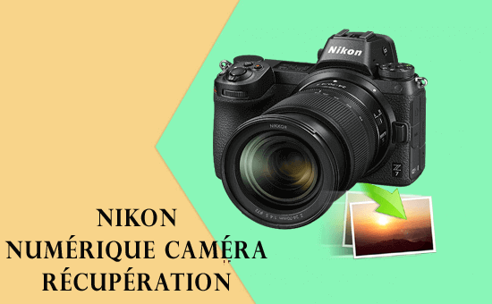 Nikon Numérique Caméra Récupération