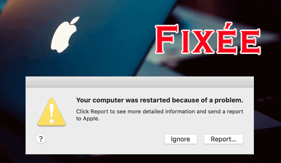 ordinateur redémarré Parce que d'un problème Mac