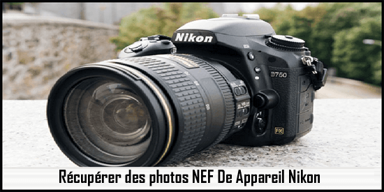 Récupérer des photos NEF De Appareil Nikon