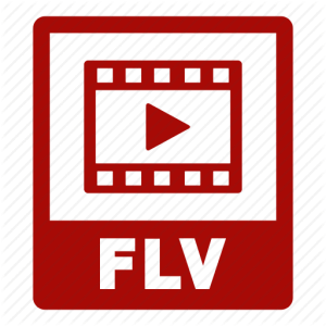 format de fichier FLV